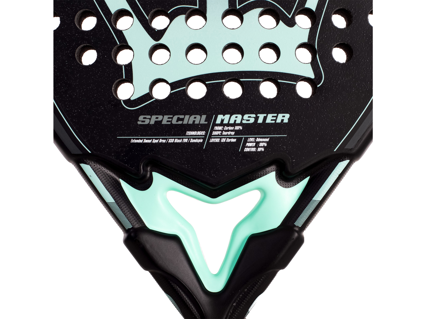 Special Master