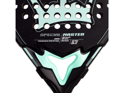 Special Master